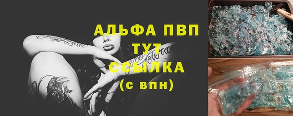 стаф Арсеньев