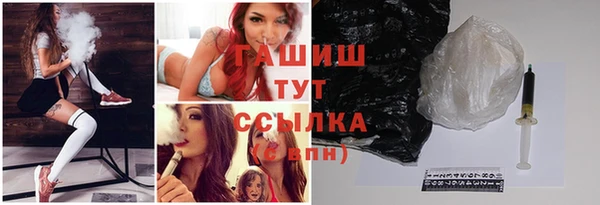стаф Арсеньев