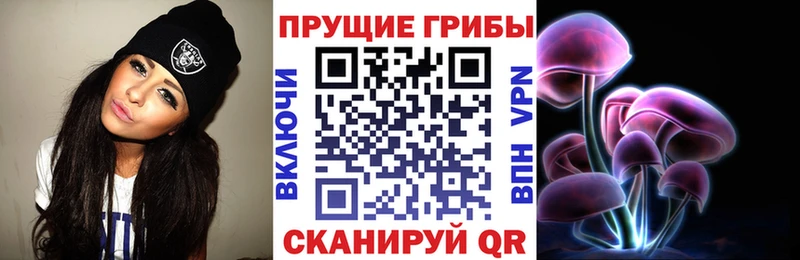 Псилоцибиновые грибы мицелий Валдай
